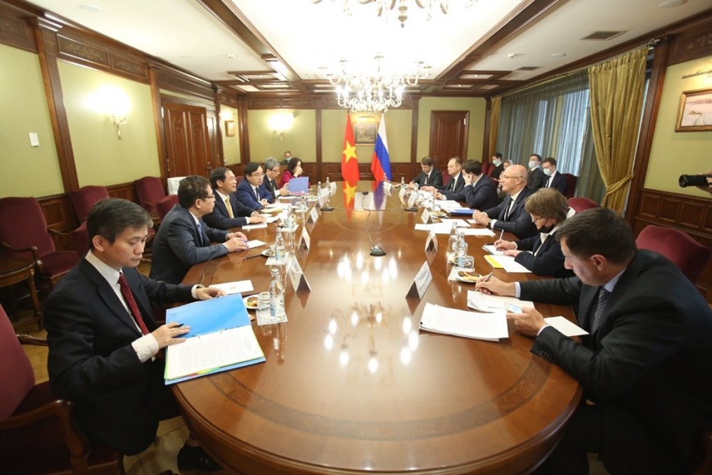 Vietnam seeks Russia's support in vaccine production technology transfer hinh anh 2
