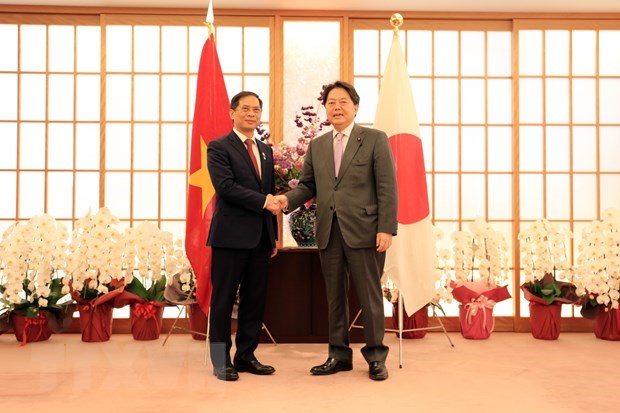 Vietnam always considers Japan leading strategic partner: FM hinh anh 1