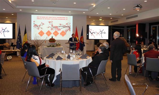 OVs in Belgium, Luxembourg help promote EU-Vietnam ties hinh anh 1