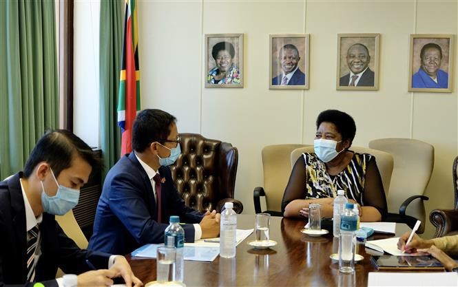 Vietnam seeks closer relations with South Africa hinh anh 1