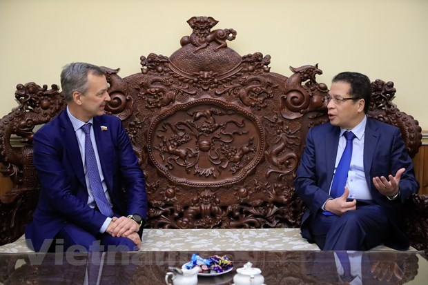Vietnam, Russia agree to sustain growth in economy-trade cooperation hinh anh 1