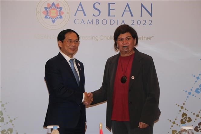 Foreign Minister holds bilateral meetings on AMM-55 sidelines hinh anh 1