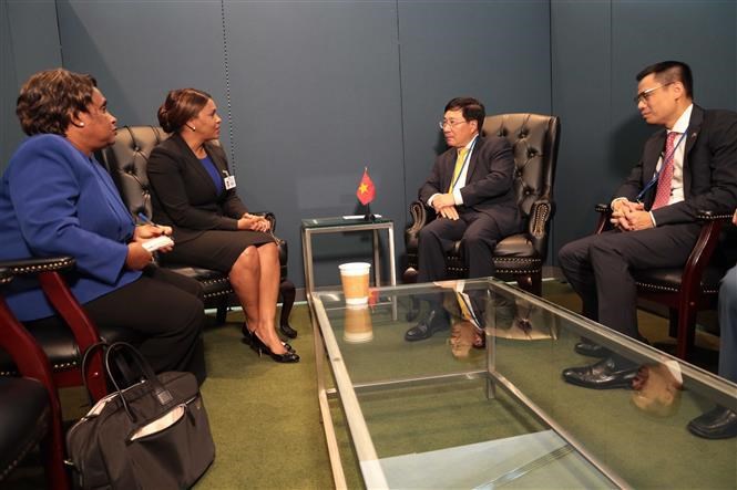 Vietnam boosts cooperation with Netherlands, African countries hinh anh 2