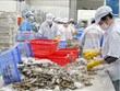 Significant efforts needed to realise 4.3-billion-USD shrimp exports