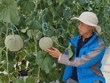 High tech farming in Ninh Thuan proves effective