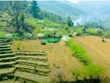 Yen Bai unleashing tourism in village “oasis”