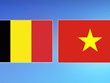 Vietnam - Belgium relations constantly developing