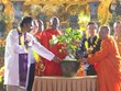 Sapling from world's longest-living Bodhi tree planted in Bai Dinh pagoda