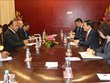 Deputy PM Pham Binh Minh meets with Papua New Guinea Foreign Minister 