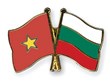 Activities planned to mark 70 years of Vietnam-Bulgaria diplomatic ties