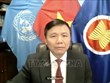 Vietnam reiterates support for peace process in Afghanistan