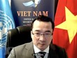 Vietnam calls Libyan parties to comply with ceasefire
