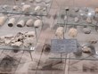Over 6,300 artifacts excavated at Yen Bai’s archaeological site