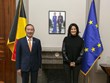 Plenty of room to Vietnam, Belgium to expand ties: Diplomat