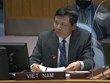 Vietnam voices support for peace, reconciliation process in Colombia