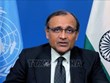 Indian ambassador compliments Vietnam's contributions to UNSC 