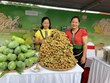 Son La mango and safe farm produce week launched in Hanoi
