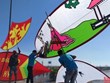 Thai Binh hosts second national kite festival