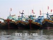 Quang Tri takes concerted measures to prevent IUU fishing