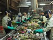 96% of urban household wastes to be safely processed in 2023