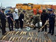Hai Phong: More ivory seized at Lach Huyen port