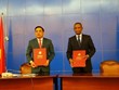 Huge potential for Vietnam - Mozambique cooperation: official