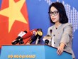 Vietnam’s sovereignty must be respected: Foreign Ministry’s spokesperson