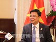 Ample room remains for Vietnam-Japan relations: diplomat, professors