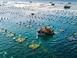 Vietnam’s aquaculture top position on world map