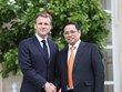 Parliamentary diplomacy - crucial link in France-Vietnam relations: parliamentarian