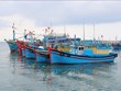 Ninh Thuan develops sustainable fishery sector