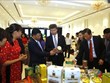 Yen Bai promotes investment cooperation with RoK businesses