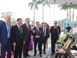 Thanh Hoa boosts trade, investment connectivity with Italy