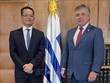 Plenty of room for Vietnam, Uruguay to boost cooperation: Uruguayan FM