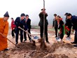 Tree planting campaign launched to grow Vietnam’s green, sustainable development