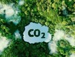 Training course sheds light on emission trading system, carbon market