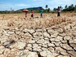El Nino costs Philippine agriculture up to nearly 19 mln USD