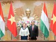 Vietnam, Hungary strengthen parliamentary supervision of bilateral agreements