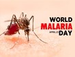 Vietnam eliminates malaria in 46 provinces, cities