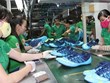 Vietnam remains world leading footwear exporter  ​