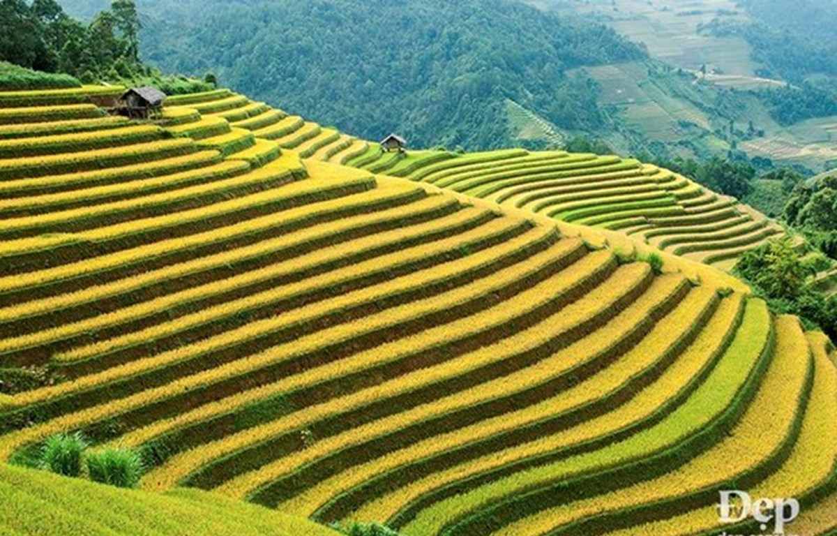 Must-visit spots in Mu Cang Chai