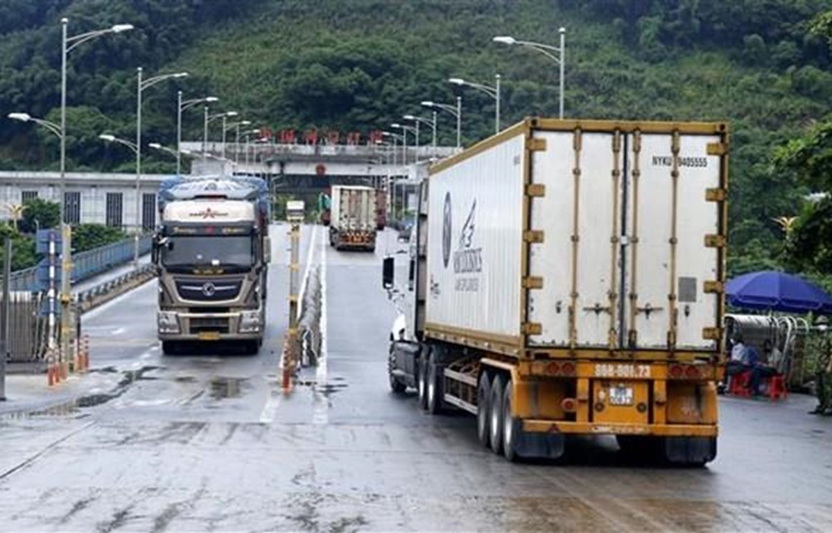 Container trucks carrying shipments of dragon fruit to China pass through Kim Thanh International Border Gate No 2. (Photo: VNA)