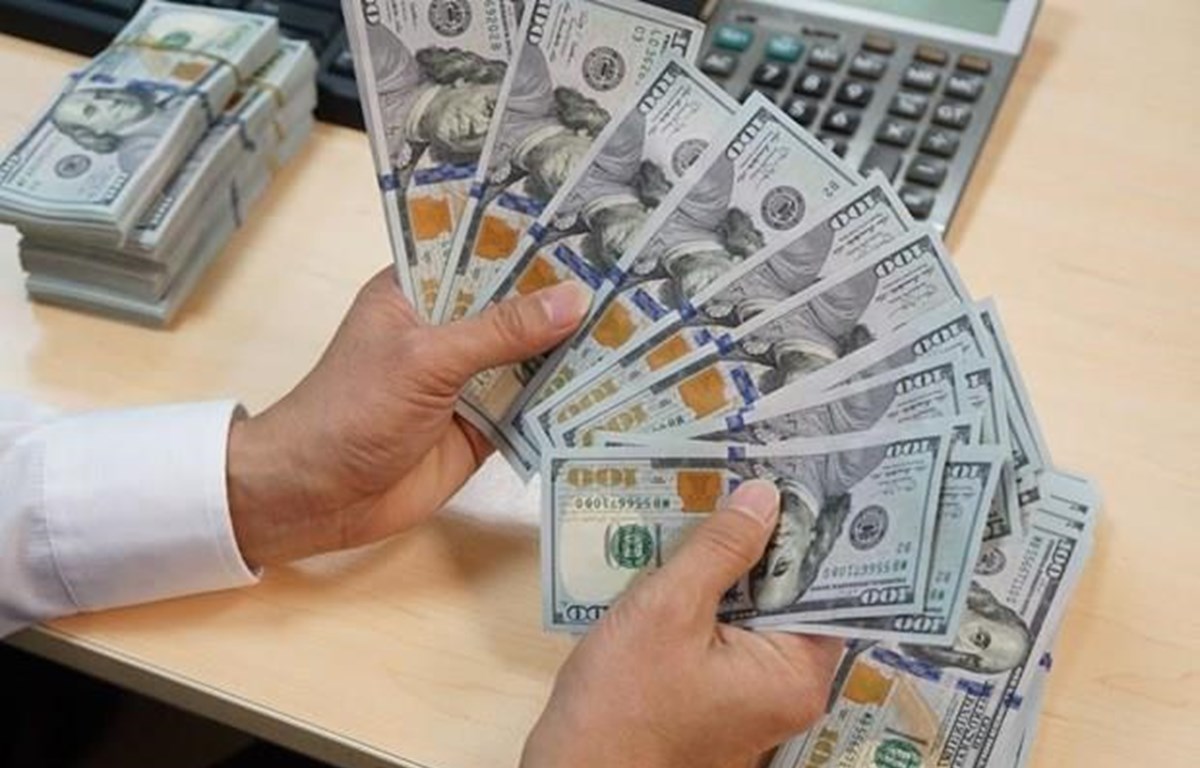Reference exchange rate up 10 VND on August 14