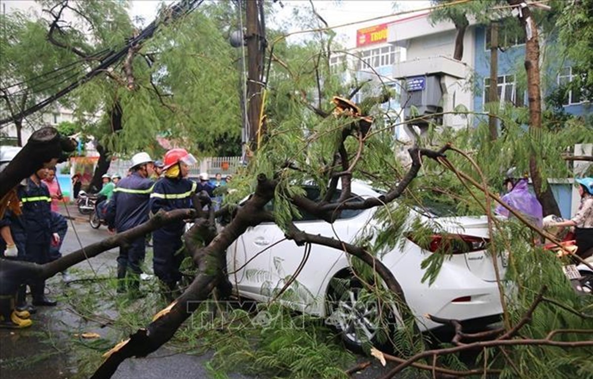 Storm Podul causes three deaths nationwide