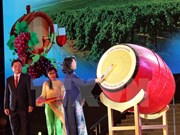 Grapes and Wine Festival opens in Ninh Thuan