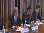 Vietnam respects countries’ rights in East Sea: diplomat