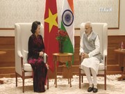 Vietnam, India agree to tighten parliamentary connections 