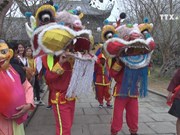 Traditional festivals mark outset of Lunar New Year