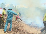 Da Nang forest fire service on high alert due to heat wave