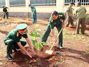 Activities held in response to World Environment Day 